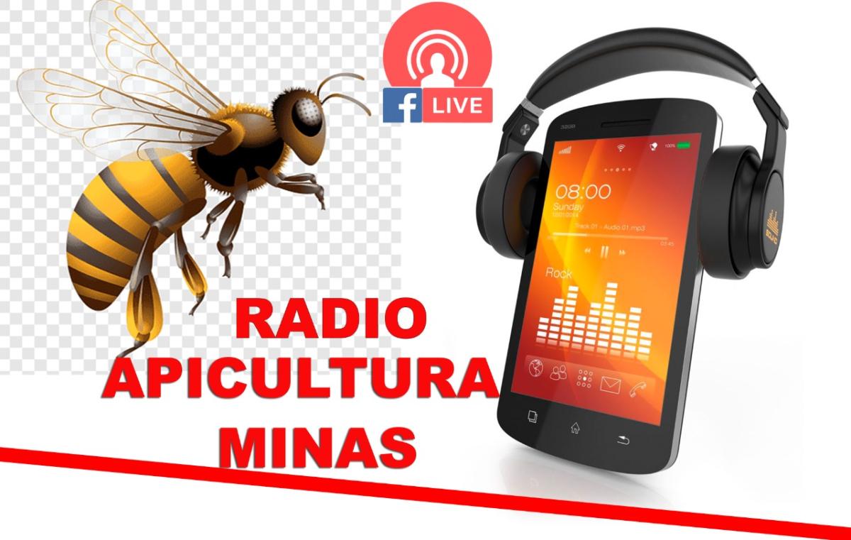 Radio Apicultura Minas
